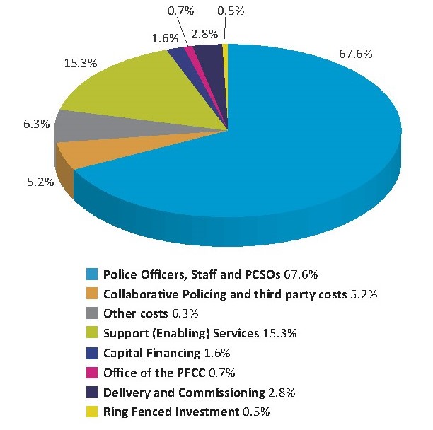 Pie chart illustration figure percentages as per accompanying text