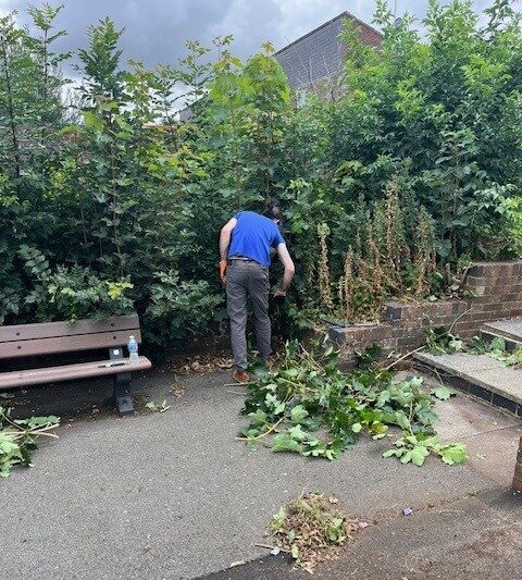 A person wearing a blue shirt and grey trousers is standing on a paved area, facing away from the camera, and appears to be working on clearing overgrown vegetation. The person is surrounded by green bushes and plants, with piles of cut branches and leaves scattered on the ground. A wooden bench with a water bottle on it is visible to the left, and brick steps lead up to another level in the background.