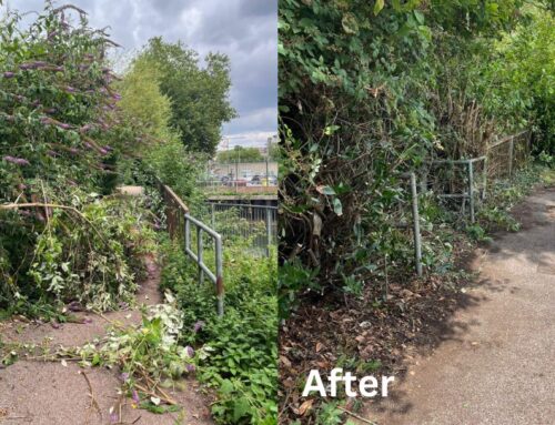 Offenders clean up walkways to make routes between Northampton town centre safer