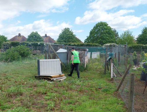 Overgrown Spratton allotments cleared through Immediate Justice scheme