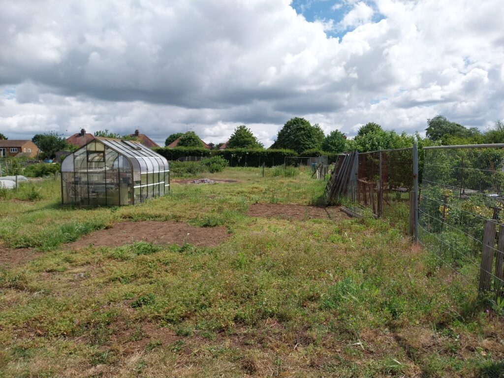 A wide view of a community allotment with mixed grass and soil beds, featuring a glass greenhouse on the left and fenced growing plots on the right, under a cloudy sky with houses and trees in the background.