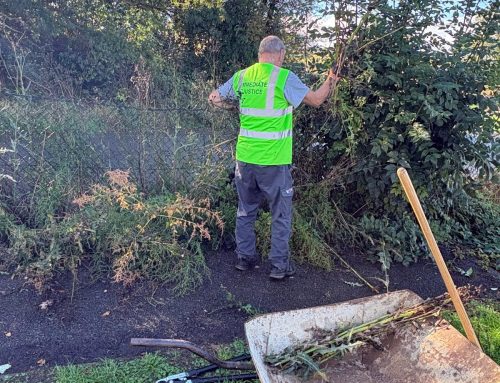 Immediate Justice Team clears Daventry pathway for local residents